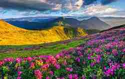 Beautiful, colorful landscape of mountains